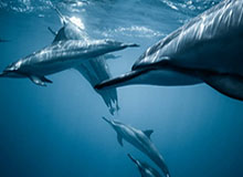 星空体育app下载：让星光照亮你的运动之路